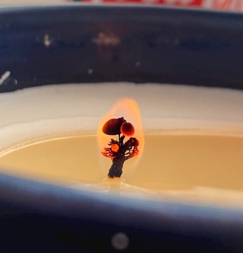 Fitilj svijeće izgleda poput gljive