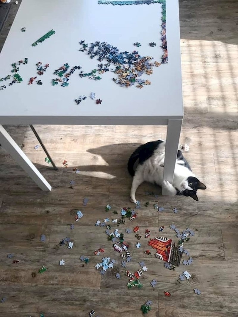 "Slagala sam puzzle satima i onda je došla ona..."