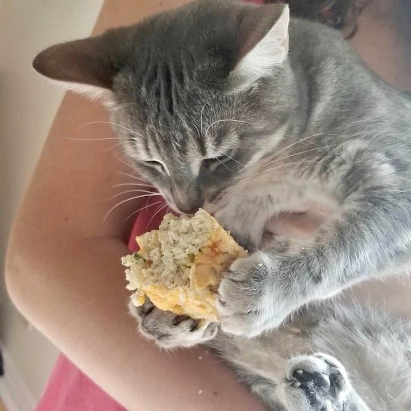 "Ukrala mi je muffin!"