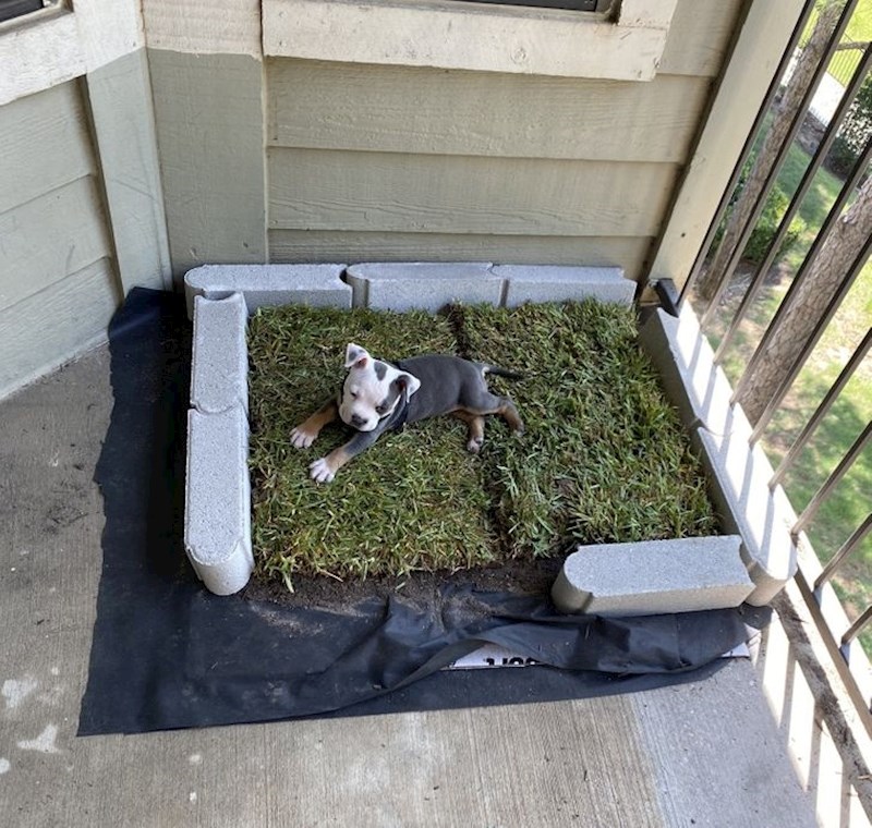 Kad živiš na trećem katu...