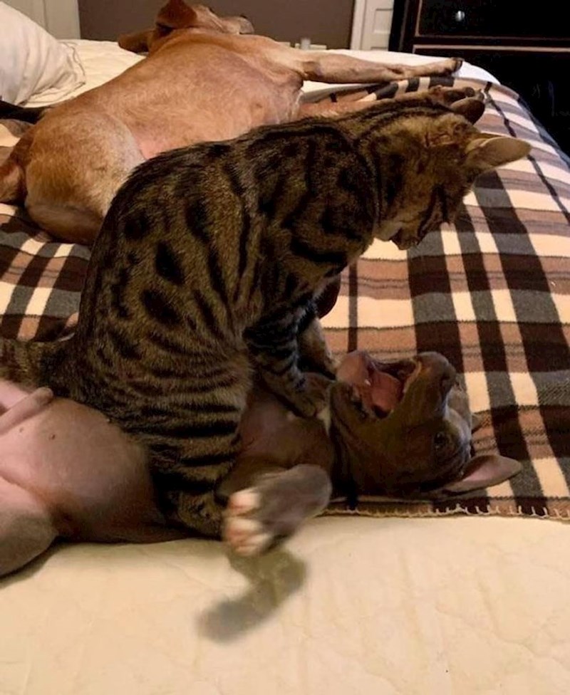 "Prije 10 minuta su spavale!"