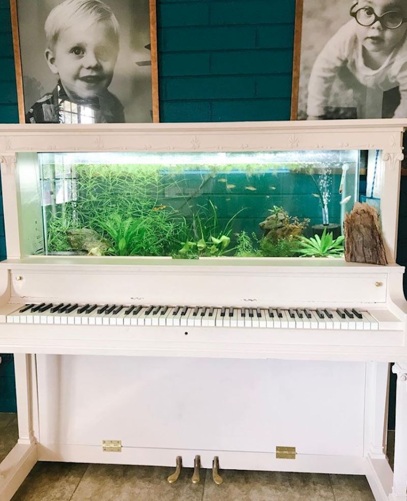 Stari pianino postao je akvarij