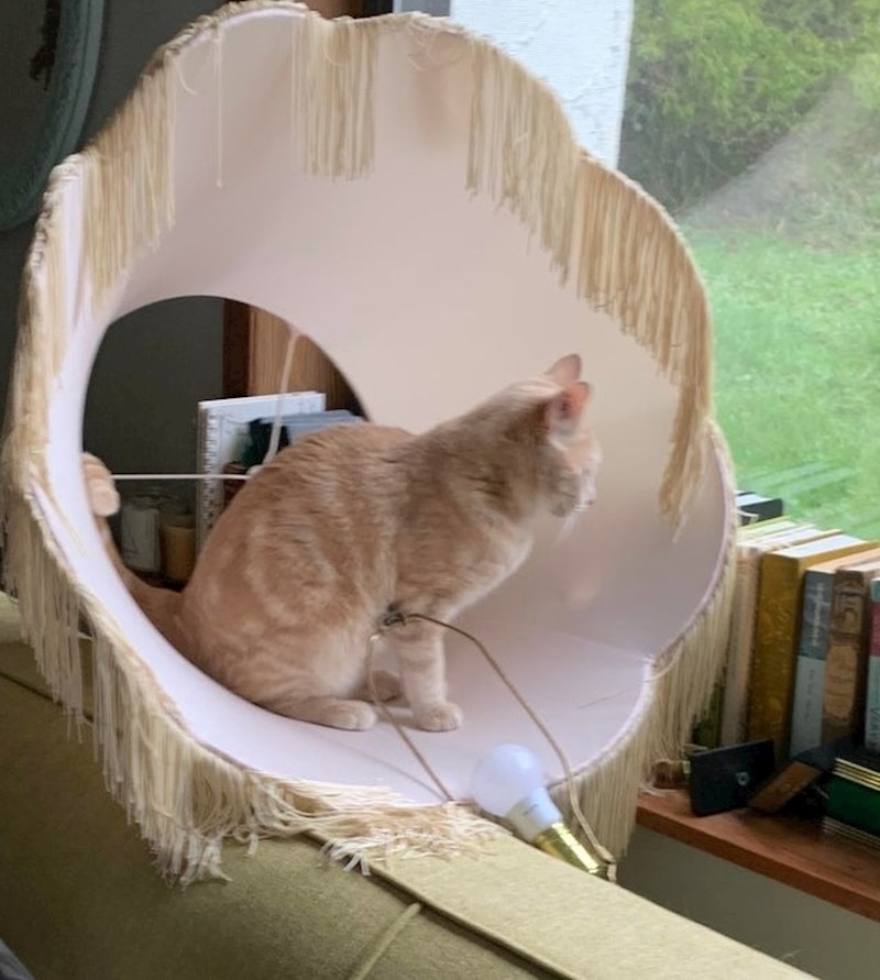 "Murphy je uništio lampu i zatim sjeo na nju"