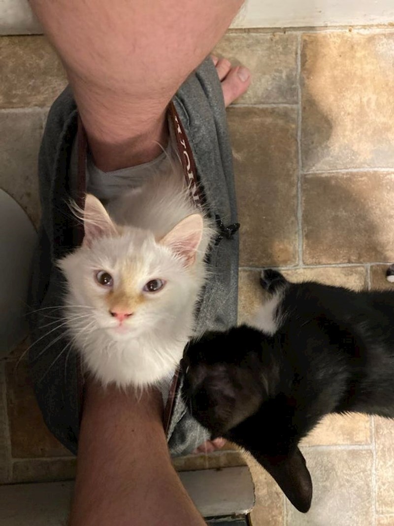 "Nedostajao si nam!"