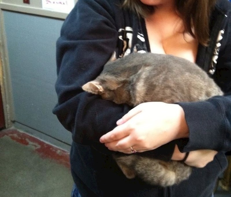 Ne puštaj me iz zagrljaja. :)