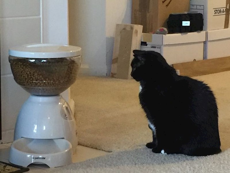 "Jako joj se sviđa nova hranilica..."