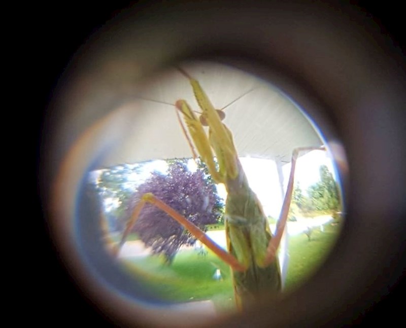 "Ovo nije poštar..."