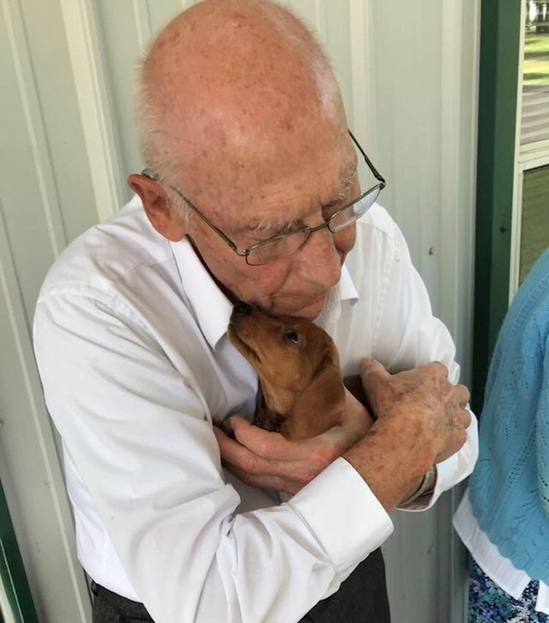 "Odnio sam psića u dom za umirovljenike, odmah su postali najbolji prijatelji"