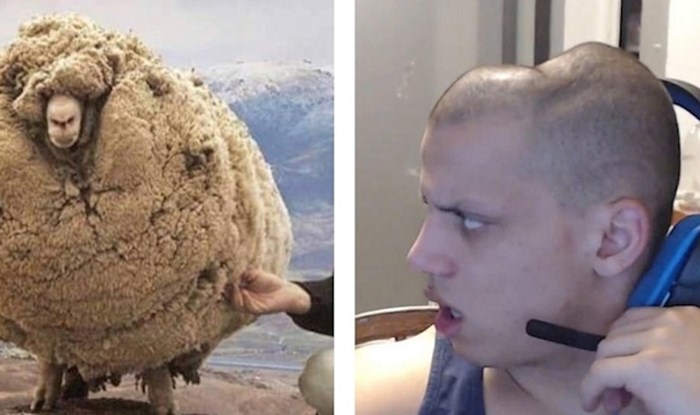 Slike i memeovi koji savršeno prikazuju naš trenutni život na smiješan način