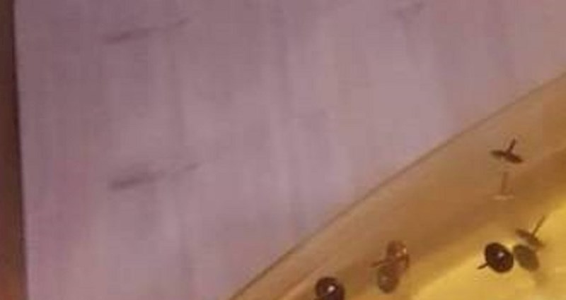 Ušao je u frendovu kupaonicu i nije mogao vjerovati svojim očima što vidi