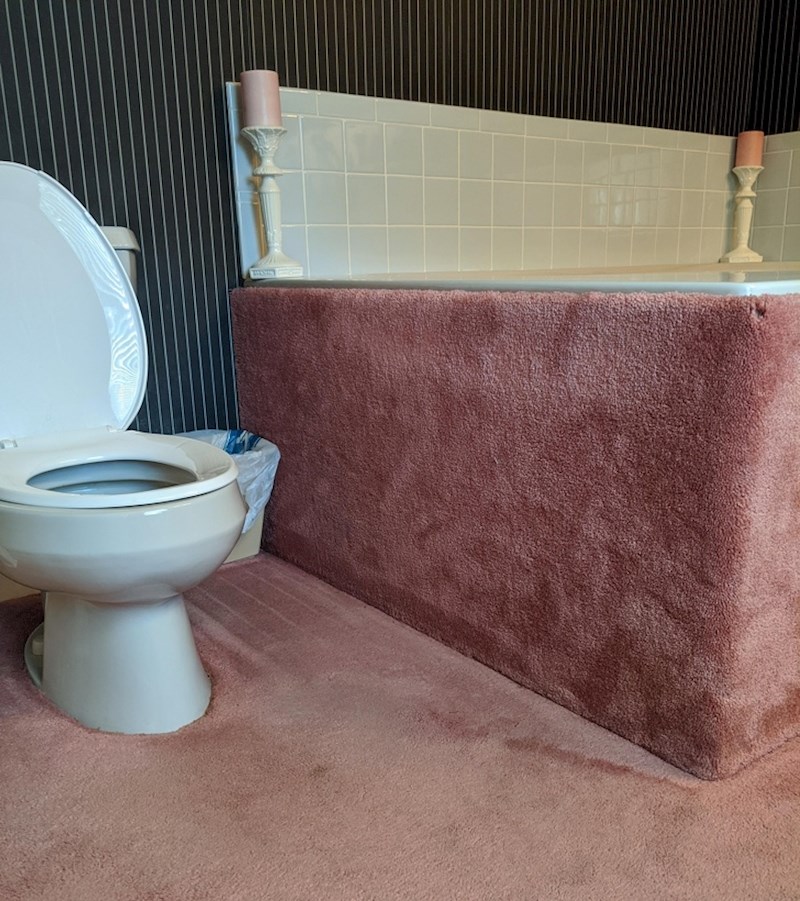 Ova fotka bi se mogla zvati "plijesan vlaga i bakterije"