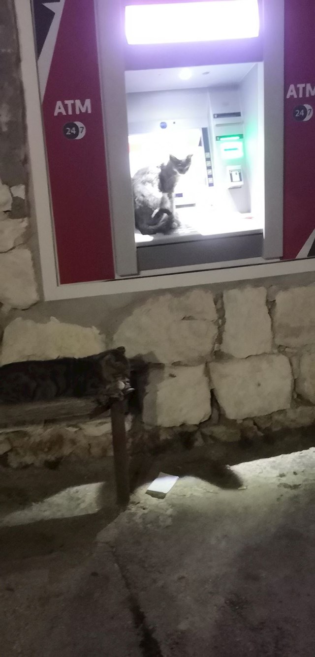 Na bankomatu su ugledali neočekivan prizor koji ih je prilično nasmijao na bankomatu su ugledali neočekivan prizor koji ih je prilično nasmijao