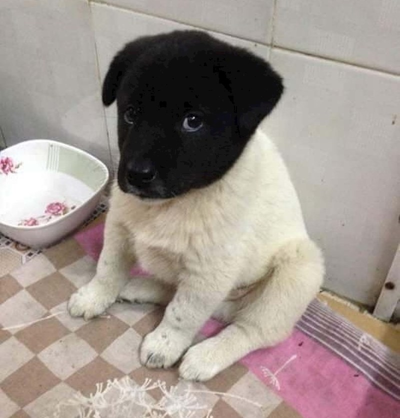 Ponestalo je boje :D