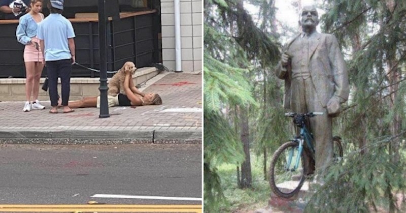 Desetak potpuno slučajnih slika koje će vas nasmijati