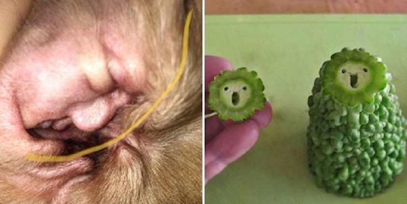 Tridesetak puta kada su ljudi otkrili lica na raznim predmetima