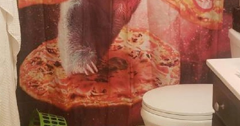 Dozvolili su svojoj osmogodišnjoj kćeri da odabere zastor na kadi i to je ispalo urnebesno