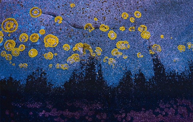 "Pronašao sam uzorak na nekim stijenama u Švedskoj koji pomalo podsjeća na zvjezdanu noć Van Gogha"