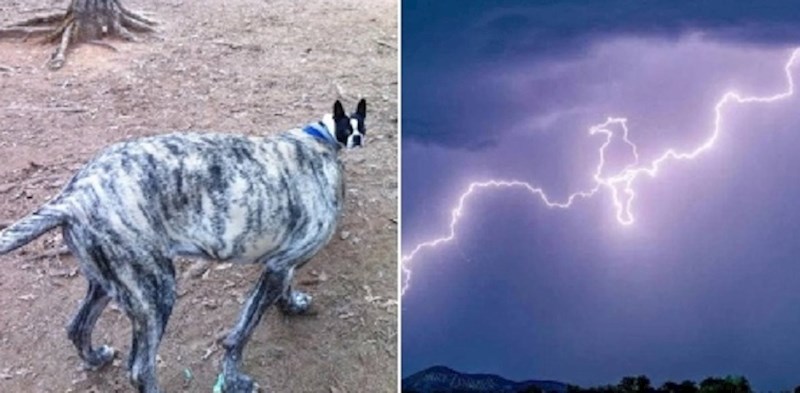 Ovi ljudi slučajno su uslikali prizore koje je nemoguće ponoviti