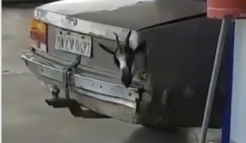 Senzor za parking :D