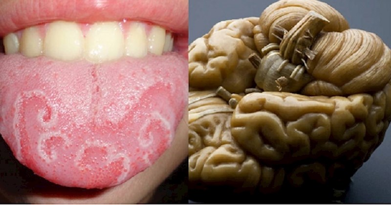 Ove činjenice o ljudskom tijelu će vas iznenaditi, sigurno to niste znali