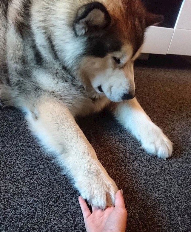 Sramim se jer me dodiruješ!