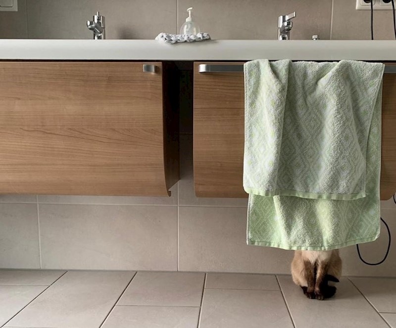 Može malo privatnosti?