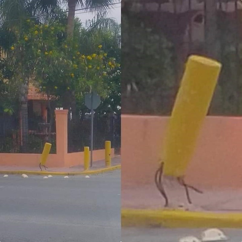 Stup pokušava pobjeći :D