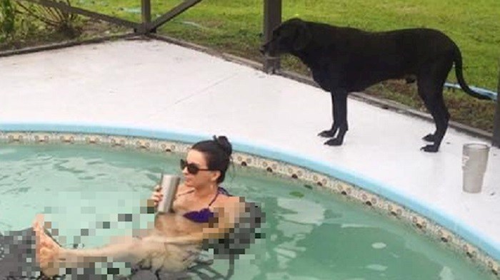 Ova žena si je napravila poseban ugođaj u bazenu, ni psu ništa nije jasno