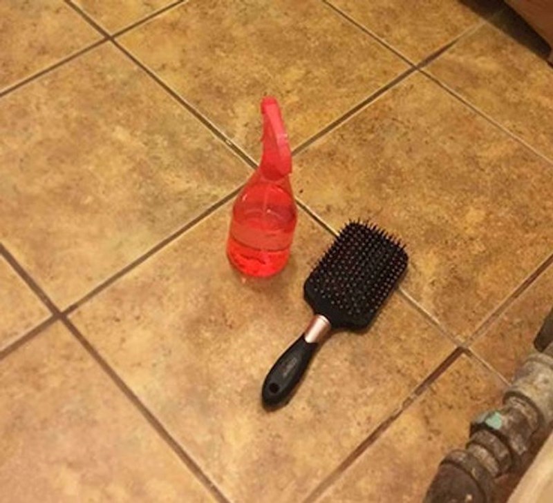 "Rekla sam nećakinji da odnese ove stvari u kupaonicu i ona ih je odložila na pod u kupaonici"