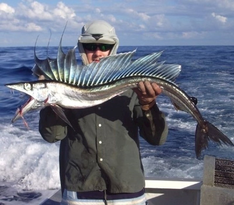 Ova riba izgleda jako jezivo!