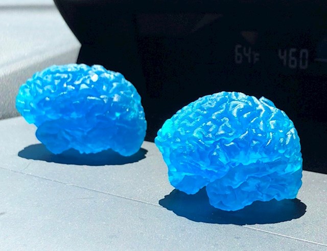 Muž i žena su isprintali svoj mozak 3D printerom