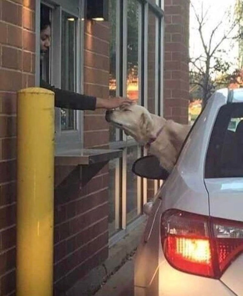 Dnevna doza maženja :)