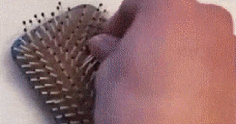 Cura je uzela kosu sa svog češlja i napravila nešto urnebesno