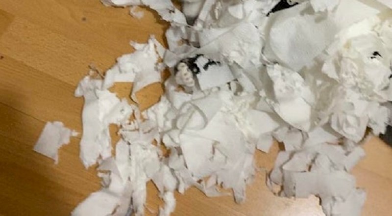 Lik je naišao na ogromnu količinu poderanog wc papira, krivac ga nije iznenadio