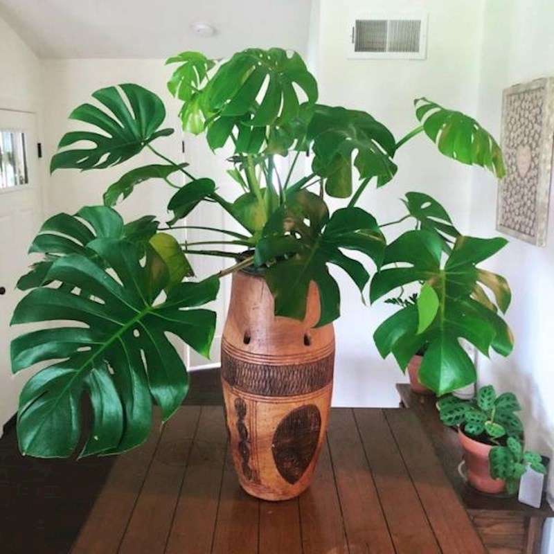 Stari bubanj kao vaza