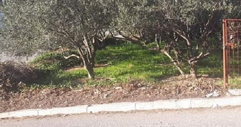 Netko je u Dalmaciji snimio nešto urnebesno. Koji je smisao ovoga?