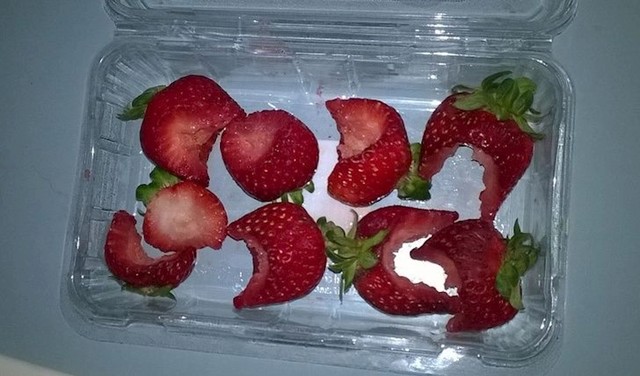 "Život s trogodišnjakom"