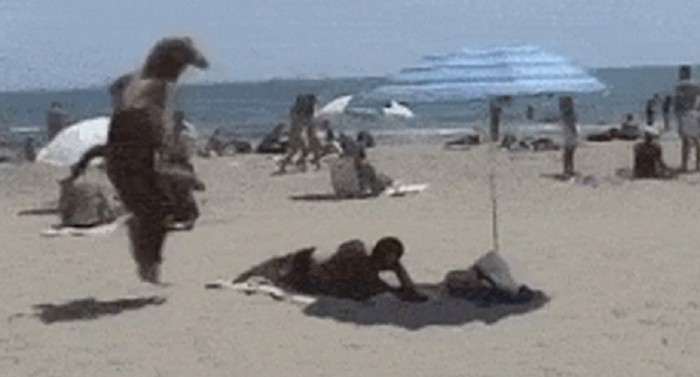 Ovaj lik ubrzo je zažalio što je odabrao pješčanu plažu