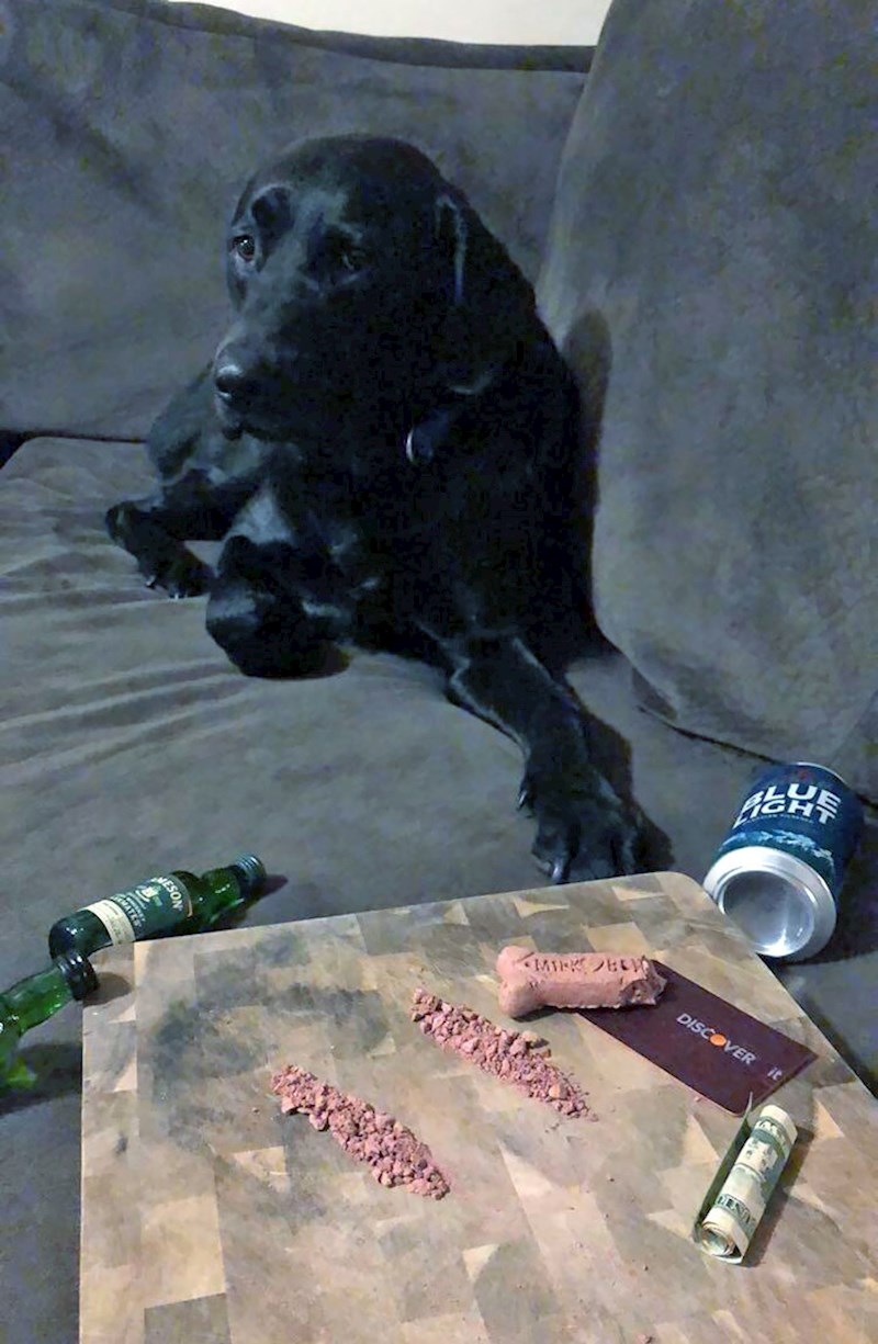 "Bio sam doma sam sa psom, žena je htjela znati što radimo..."