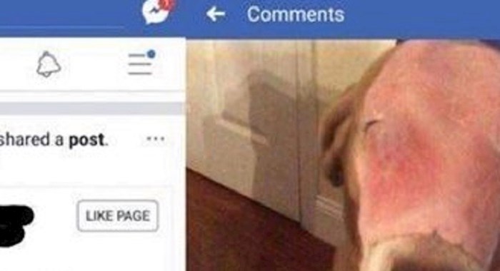 Baka je nasjela na Facebook prevaru, unuka joj je ostavila presmiješan komentar