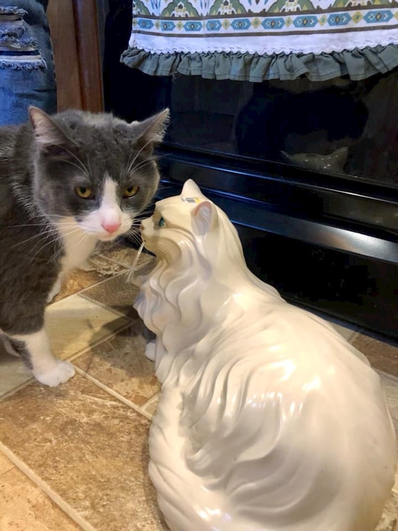 "Što bi ovo trebalo značiti?"