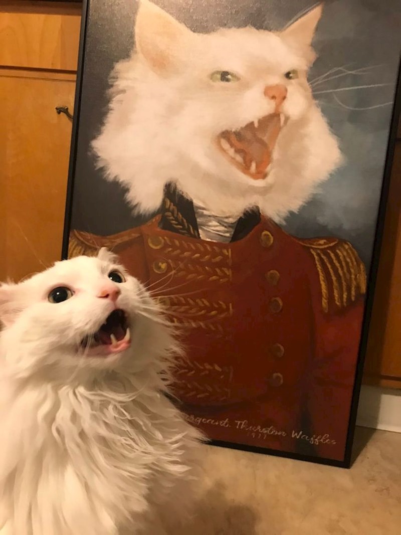 "Mislite li da joj se sviđa?"