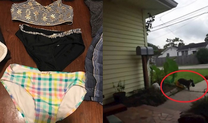Žena je pronalazila tuđu odjeću po kući, snimke kamere otkrile su da je njena mačka kleptoman