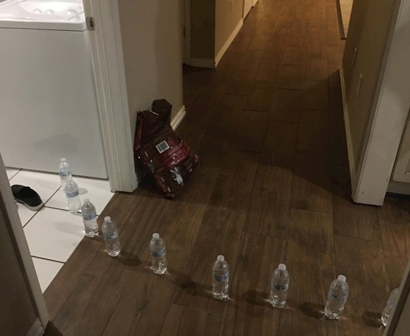 "Sin mi je rekao da voda ide iz kupaonice"