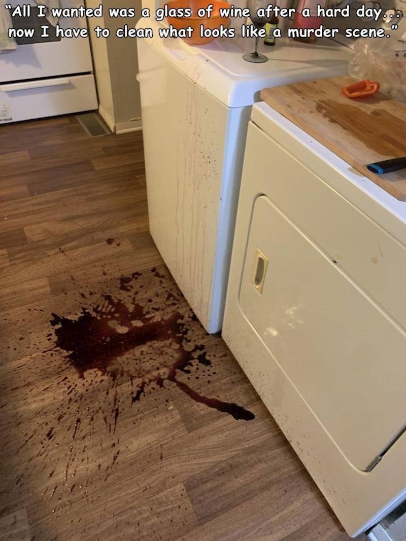 "Htio sam popiti čašu vina nakon napornog dana i sada moram čistiti ovo..."