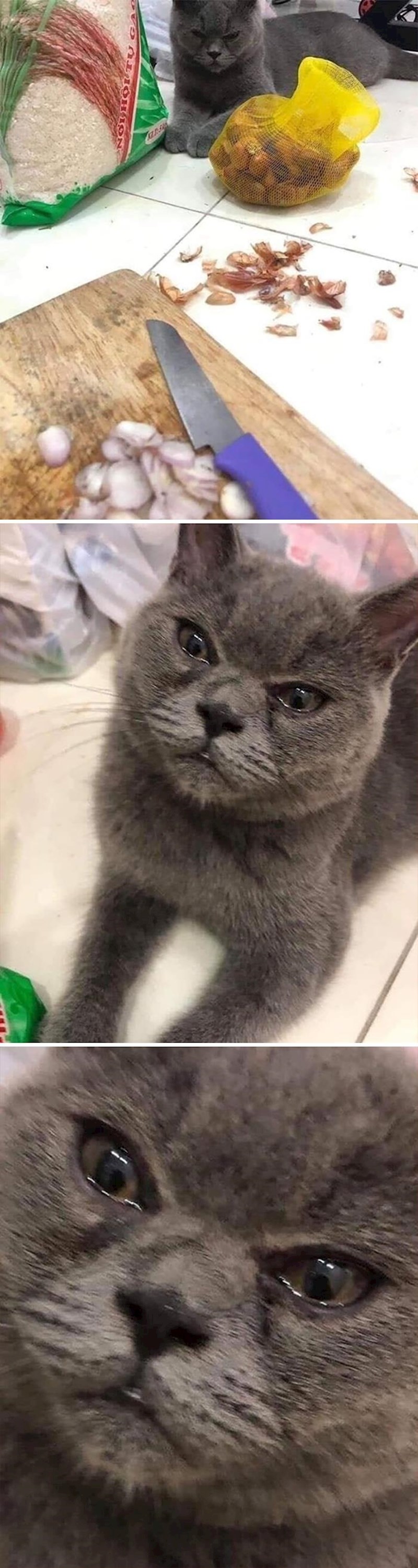 "Ni luk nas ne može razdvojiti!"