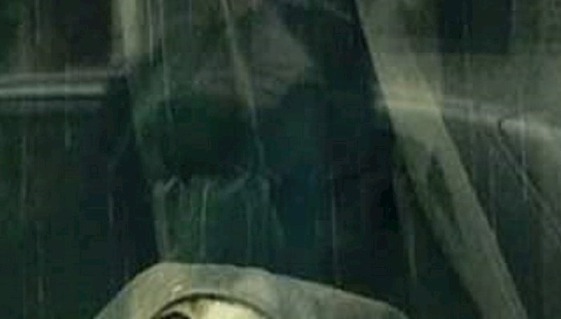 Susjedi su umrli od smijeha kada su vidjeli tko to vreba kroz prozor