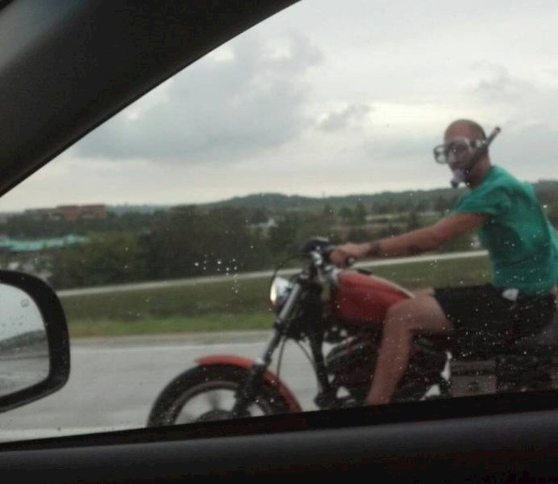 Zaštita od... mušica?