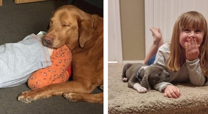 Ove fotke djece i njihovih dlakavih ljubimaca pokazuju pravo značenje prijateljstva