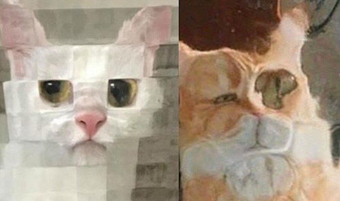 Ljudi na internetu dijele urnebesne slike svojih mačaka iza staklenih vrata